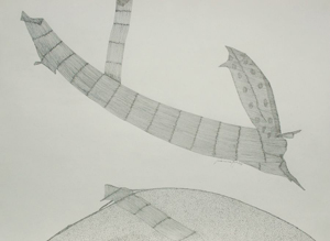 Thumbnail Placeholder