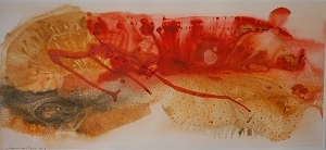 ACUARELA SOBRE PAPEL